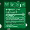 NeuroGum Extra Strength Energy & Focus Gum (Spearmint, 90 Pieces) | 100mg Natural Caffeine + L-Theanine + Vitamin B12 & B6 + Xylitol | Sugar Free Nootropic Cognitive Brain Performance Supplement