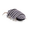 Folkmanis Mini Roly Poly Finger Puppet, Gray