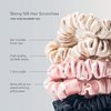 Fishers Finery 25 Momme Pure Mulberry Silk Skinny Scrunchies | Hair Tie Set for Thin Hair (Champagne|Brown|Black- 6 Pk)