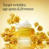 L’OCCITANE Immortelle Divine Firming Face Cream: Visibly Reduce the Appearance of Wrinkles, Retinol Alternative, Smooth Skin, Target Age Spots, Daily Moisturizer for a Youthful Radiance, 1.7 oz.