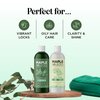 Shampoo and Conditioner for Oily Hair and Scalp - Sulfate and Paraben Free Shampoo and Conditioner Set for Oily Hair Care with Deep Cleansing Tea Tree Oil - Color Safe & Cruelty Free (8 Fl Oz)