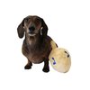 Midlee Dreidel Hanukkah Dog Toy- Squeaky Plush Pet Gift