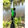 Arbogast Hula Popper Topwater Fishing Lure, Coach Dog Orange Belly, G770 (1 3/4 in, 1/4 oz)