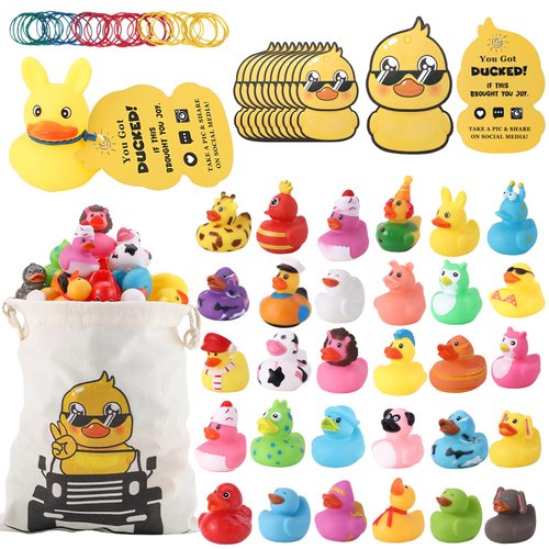 Rubber Ducks Kits 30 Pcs Assorted Rubber Duckies with 30 Pcs Duck Tags and 40 Pcs Rubber Bands with Duck Bag Random Jeep Ducks for Car Ducking Decor, Baby Bath & Pool Toys, Party Favors