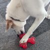 SPOT by Ethical Products - Play Strong - Trident Bone - Dog Toy for Aggressive Chewers Interactive Durable Dog Toy Red 6-Inch