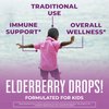 MaryRuth's Cocomelon Kids Elderberry Syrup | USDA Organic Elderberry | Sugar Free Kids Immune Support Supplement for Ages 4-13 Years | Clean Label Project Verified®, Vegan, Gluten Free | 1 Fl Oz