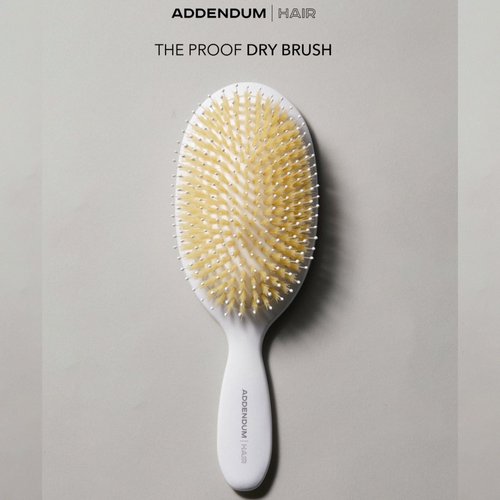 LUXURY HAIR BRUSH- Dry Hair Brush Boar Bristle and Soft Ballpoint Tip, Hairbrush for Restore Shine And Texture By ADDENDUM HAIR
