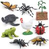 Montessori Life Cycle Animal Figures with Flash Cards, Realistic Animal Figurines Toy, Animal Match Set with Butterfly Frog Ladybug, Educational Matching Game for 3+ year old Toddlers Kids (Ladybug)
