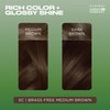 Clairol Natural Instincts Demi-Permanent Hair Dye, 5C Brass Free Medium Brown Hair Color, Pack of 3