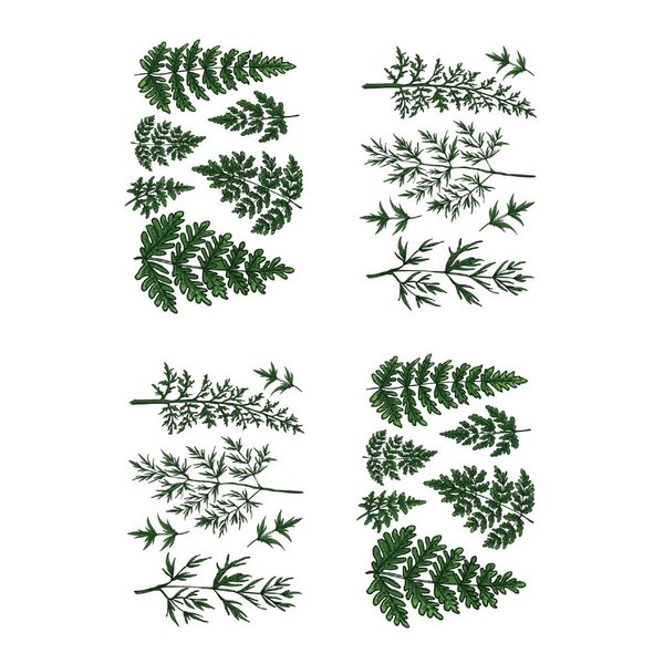 SanerLian Green Fern Temporary Tattoo Sticker Waterproof Plant Leaf Sunflowers Adult Men Women Vintage 15X11cm Set of 4 (SF226)