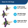 PetSafe Busy Buddy Jack - Treat Holding Dog Chew Toys - Helps Clean Teeth - Vanilla Scented Rubber for Strong Chewers - Treat Refills Included, Interactive Dog Toy Helps Keep Dogs Busy, Purple, Medium