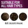 Schwarzkopf Keratin Color Permanent Hair Color, 6.0 Delicate Praline, 1 Application - Salon Inspired Permanent Hair Dye, for up to 80% Less Breakage vs Untreated Hair and up to 100% Gray Coverage