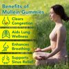2 Pack Mullein Gummies for Lung Detox, Mullein Herbal Supplement, 2000mg Mullein Leaf Extract for Respiratory & Digestive & Immune Support