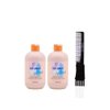 Inebrya Ice Cream Age-Therapy with Collagen Hair Lift Shampoo (10.14 oz) with Teasing Comb Pack of 2