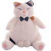 Generic Cute Cat with Balls Stuffed Animal Plush Fat Cat with Ball Stuffed Plush, Funny Christmas Birthday Gifts for Adults and Kids Who Love Cats (Brown white 35cm)