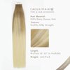 LacerHair Balayage Tape in Hair Extensions Human Hair Double Side Tape Seamless Skin Weft Ombre Light Brown Fading to Platinum Blonde B#8/60 50 Grams 20Pcs 20 Inch