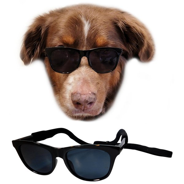 G006 Dog Pet 80s Costume Sunglasses Prop Photoshoot Medium Breeds 20-40 lbs (Black)