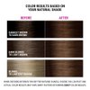Better Natured Permanent 6G Dark Golden Brown Hair Color Dye - Naturally-derived, Vegan & 100% Gray Coverage that Lasts up to 8 Weeks