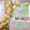 MSMANCY Sage Green Birthday Decorations for Women Men 65pcs with HAPPY BIRTHDAY Banner Curtains Butterfly Heart Star LED light and Balloons for Birthday Party Supplies (Green)