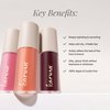 Karuna Skin - Tinted Lip Oil, Soothing & Moisturizing Lip Products with Peptides, Antioxidants, Hydrating Flattering Vegan Lip Tint, Float, 4.8 mL/0.16 fl. oz