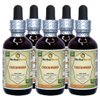 Chickweed (Stellaria Media) Tincture, Organic Dried Above-Ground Parts Liquid Extract (Brand Name: HerbalTerra, Proudly Made in USA) 5x2 fl.oz (5x60 ml)