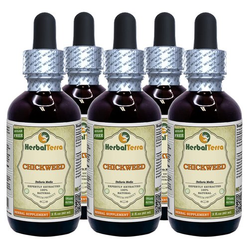 Chickweed (Stellaria Media) Tincture, Organic Dried Above-Ground Parts Liquid Extract (Brand Name: HerbalTerra, Proudly Made in USA) 5x2 fl.oz (5x60 ml)