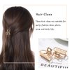 Brinie Hair Claw Gold Hair Clips Mini Non Slip Claw Clips Hair Accessories Daily Party Gift for Women and Girls (2 PCS)