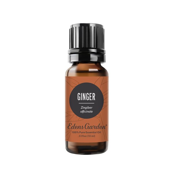 Edens Garden Ginger Essential Oil, 100% Pure Therapeutic Grade (Undiluted Natural Aromatherapy- 10 ml