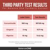 Balance ONE Turmeric Extract 1000mg Ethically Sourced Turmeric Curcumin, Standardized to 95% Curcuminoids - Ginger Extract and BioPerine - Vegan, Non-GMO - 30 Day Supply