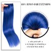 Winsky Hair Extensions Real Human Hair - One Piece Blue Color Remy Hair Extensions Clip on 80gram for Women (18inch, Blue)