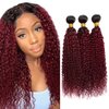1B99J Bundles Ombre Kinky Curly Human Hair Bundles 8A Grade Brazilian Unprocessed Virgin Hair 3 Bundles 20 22 24 Inch Two Tone Black Wine Red Bundles Human Hair Extensions