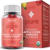 WellPath Pure ACV Apple Cider Vinegar Gummies with The Mother - USDA Organic Gummy - Vegan - ACV Gummies - 60 Ct
