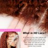TopSilky Reddish Brown Curly Wigs Human Hair 13x6 Auburn Brown Kinky Curly Lace Front Human Hair Wig Pre Plucked with Baby Hair 180% Density HD Lace Frontal Wigs Human Hair 26 Inch