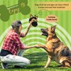 MYBALLDOG Low to MILD Chewers 2 in 1 Dog Puzzle Toys Stuffed Plush Puppy Toys, Crinkle & Squeak Dog Toy Ball for Dog Anxiety Relief, Big Dog Toys 3.5" Ball, Puppy Chew Toys (Labrador)