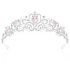 CIEHER Princess Tiara Princess Crown Crystal Crowns for Girls & Kids Crown for Birthday Prom Party Costume, Princess Party Decorations