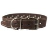 Genuine Leather Studded Dog Collar 22"x1" Brown Fits 15"-19.5" Neck