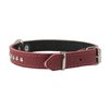 Dogs My Love Genuine Leather Studded Padded Dog Collar 15" x5/8" Wide Fits 10"-13" Neck, Pomeranian, Chihuahua, Puppies