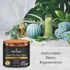 First Botany, 100% Natural Mineral-Infused Dead Sea Mud Mask 8.8oz Stem Cells Facial Treatment Skin Cleanser Pore Reducer Anti Aging Acne Treatment Blackhead Remover Cellulite & Natural Moisturizer