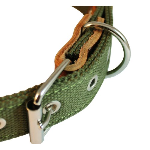 Cotton Web Dog Collar 1" Wide. Fits 15"-19" Neck. Boxer, Retriever