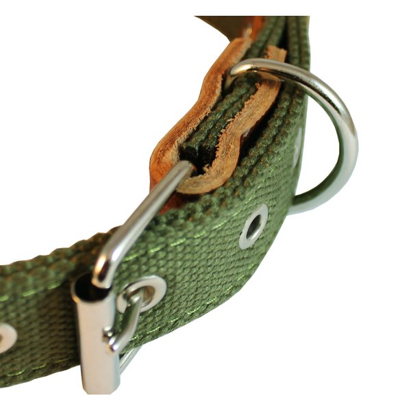 Cotton Web Dog Collar 1" Wide. Fits 15"-19" Neck. Boxer, Retriever