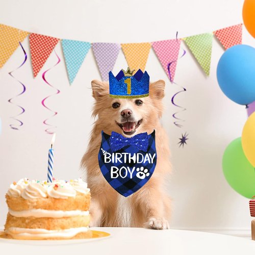 STMK Dog Birthday Party Supplies, Multi Size Dog Birthday Hat with Numbers Dog Birthday Boy Bandana Bow Tie for Small Dogs Pets (Blue, Small)