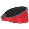 Dogs My Love Real Leather Extra Wide Padded Tapered Dog Collar (13.25"-15.25" Neck; 2.5" Wide, Red)