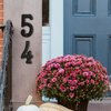 House Address Numbers 4 Inch Height - Cast Iron House Number - Rustproof Black Finish - Number 1