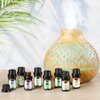 Essential Oils Set, Aromatherapy Essential Oil Kit for Diffuser, Massage, Skin Care (26 x 5ml) - Eucalyptus, Lavender, Tea Tree, Peppermint, Lemongrass, Frankincense, Cinnamon, Sandalwood