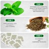 TeaDreamTea Peppermint Tea Bag - Mint Tea - Herbal Tea - Mint Tea Bags - Healthy Tea | Aromatic & Caffeine Free Tea - Bulk Tea Bags (100 Teabags)