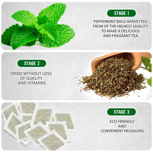 TeaDreamTea Peppermint Tea Bag - Mint Tea - Herbal Tea - Mint Tea Bags - Healthy Tea | Aromatic & Caffeine Free Tea - Bulk Tea Bags (100 Teabags)
