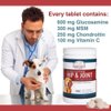 Lloyd & Lucy's Hip and Joint Supplement for Dogs - Chewable Multivitamin with Glucosamine, Chondroitin, MSM and Vitamin C - Healthy Liver Flavored Treat Pets Will Love - 180 Ct Tablets