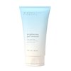 Restorative Elements Brightening Gel Cleanser – 2 fl oz. / 59 ml | Vitamin C with Niacinamide Dark Spot Cleanser