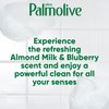 Palmolive Ultra Soft Touch Dish Soap, Almond Milk & Blueberry 20 fl oz, Packaging May Vary