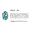 CRYSTALFY: Crystal Phone Grip and Phone Strap with Real Turquoise Genuine Natural Crystals and Gold Elastic Strap for Smartphones and Tablets